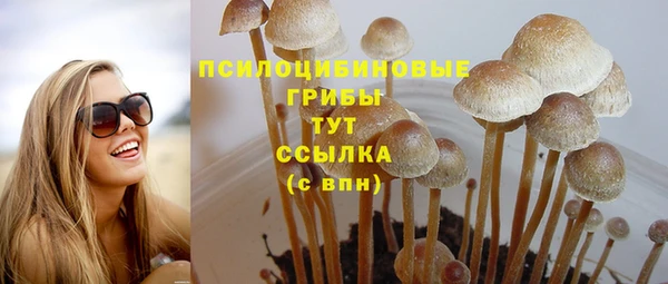 таблы Белокуриха