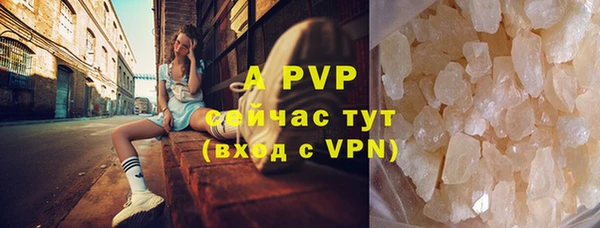 прущие грибы Пролетарск