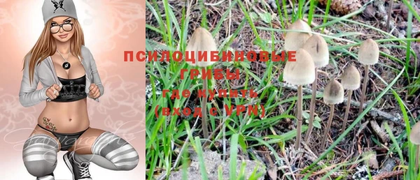 таблы Белокуриха