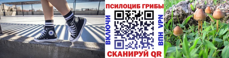 MEGA ССЫЛКА  Гудермес  Псилоцибиновые грибы мицелий  цена  